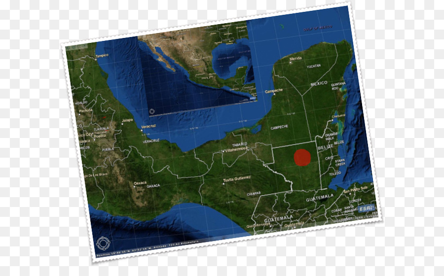 Petén Phận Petén-Veracruz rừng ẩm trong thế Giới nguồn Nước - đây là loài nhện sống vagans