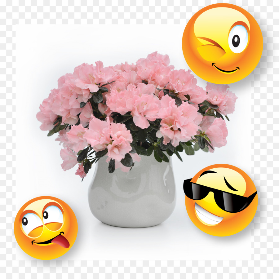 Fiori recisi Smiley Vaso di fiori - sorridente