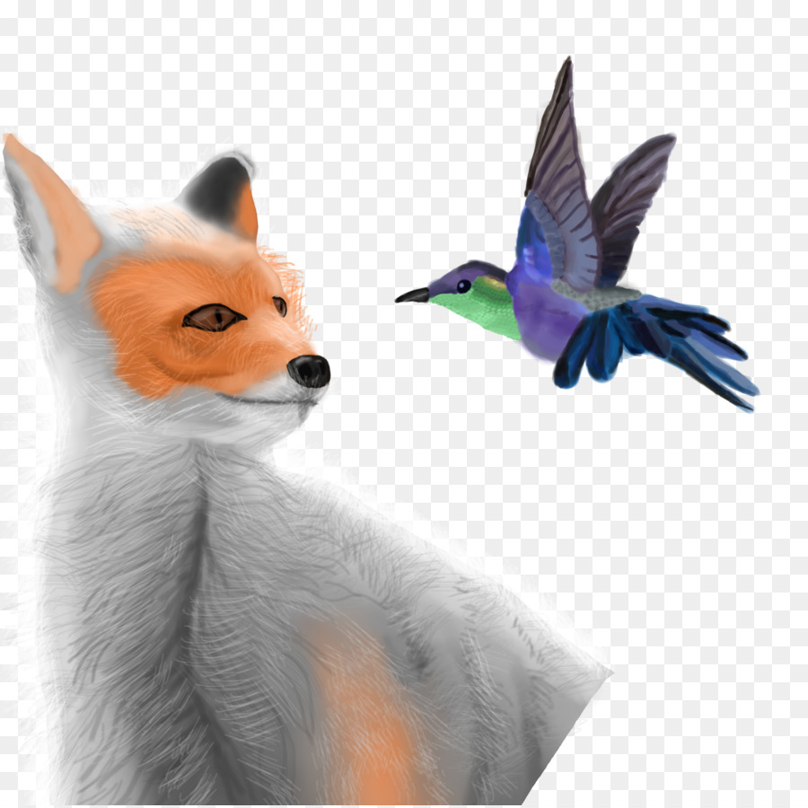 Đỏ fox Chim Mỏ động Vật Feather - con chim