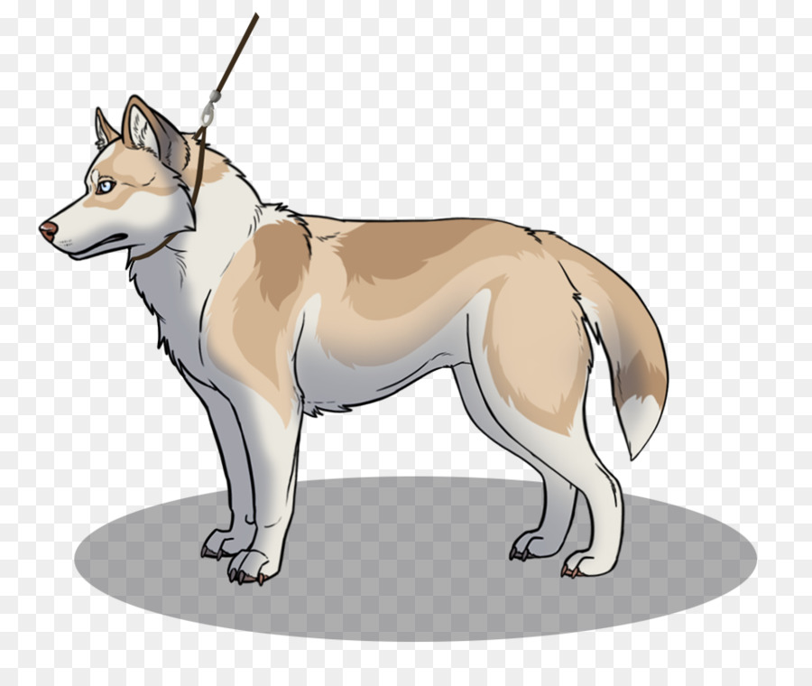 Saarloos lupo cecoslovacco cane lupo Cecoslovacco Cane di razza Dingo Red fox - Il colore