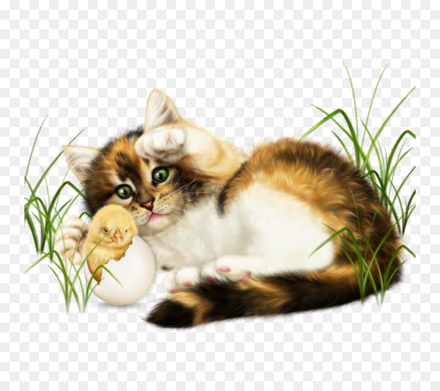 Gattino Baffi Domestico gatto pelo corto Clip art - gattino