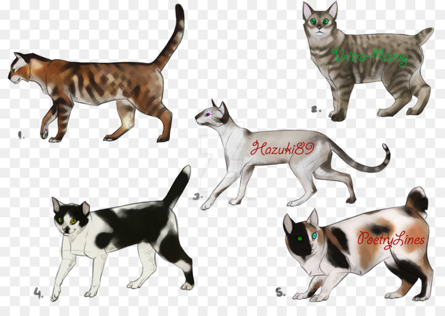 Sokoke Digitale Kunst Zeichnung Inländischen Kurzhaar-Katze - Malerei