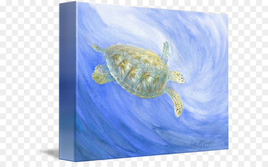 Rùa biển rùa Biển sinh học động vật Biển có vú - rùa
