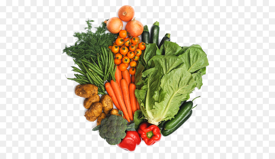 Bietole, cibo Biologico, cucina Vegetariana, Verdure - vegetale