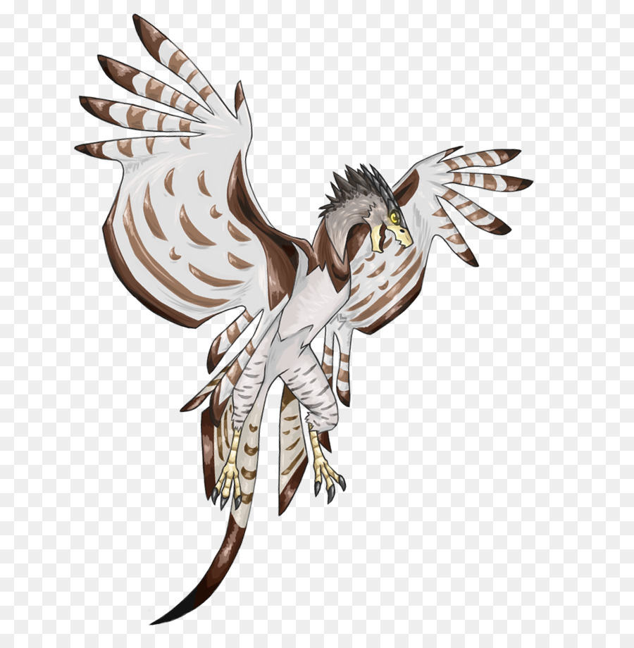 Harpy eagle bird on a white background Royalty Free Vector