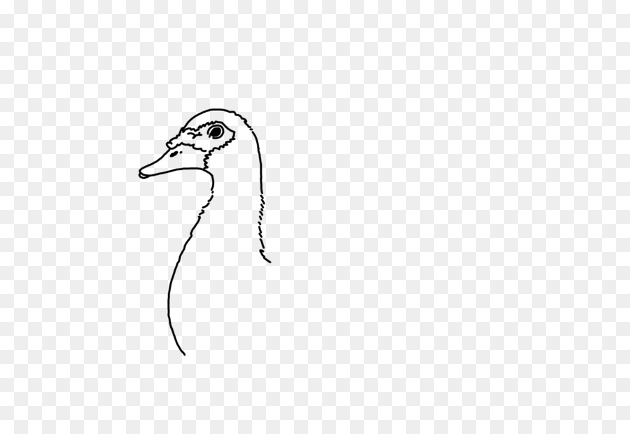 Ente Wasser Vogel Cygnini Gans - Ente