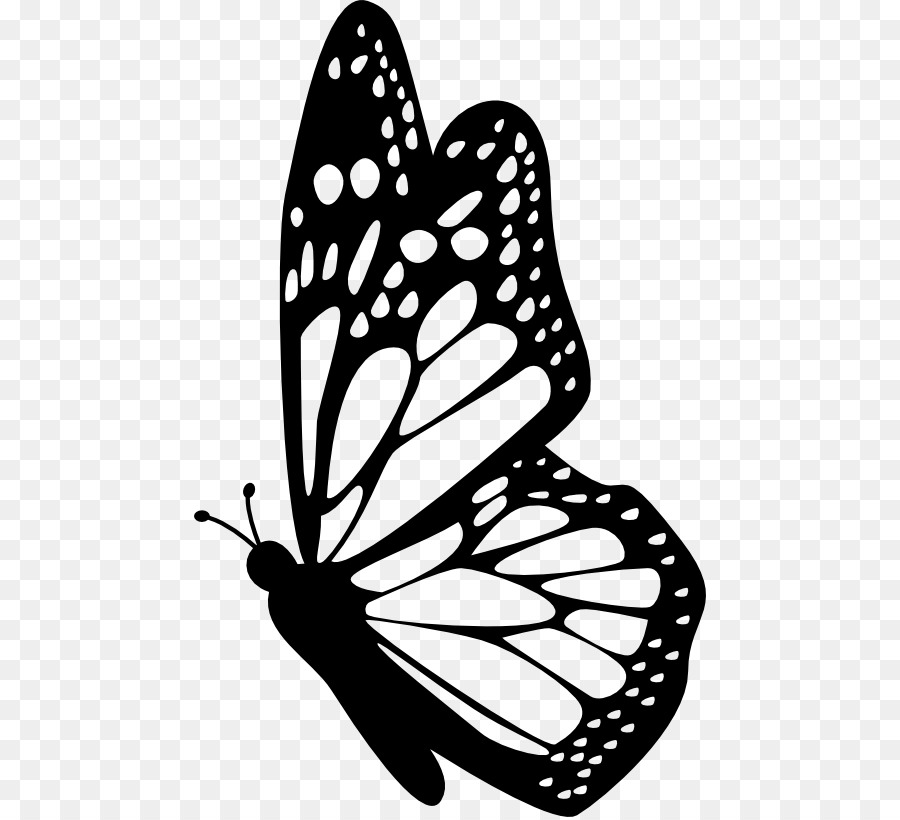 Monarch Schmetterlings Insekten Zeichnung Clip art - Schmetterling