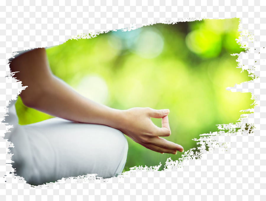 Yoga Thay Thế Dịch Vụ Y Tế Cai Nghiện Thiền - yoga
