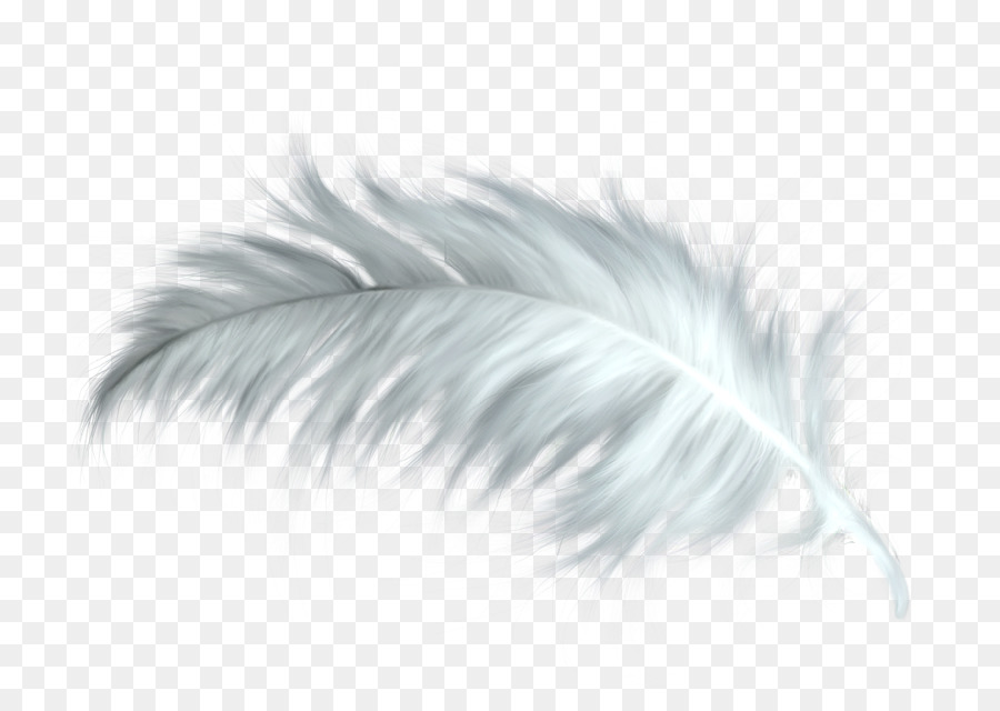 Feather Feather