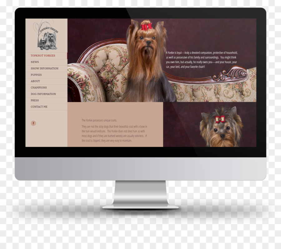 Web thiết kế trang Web phát triển thiết kế đồ Họa - Thiết kế trang Web