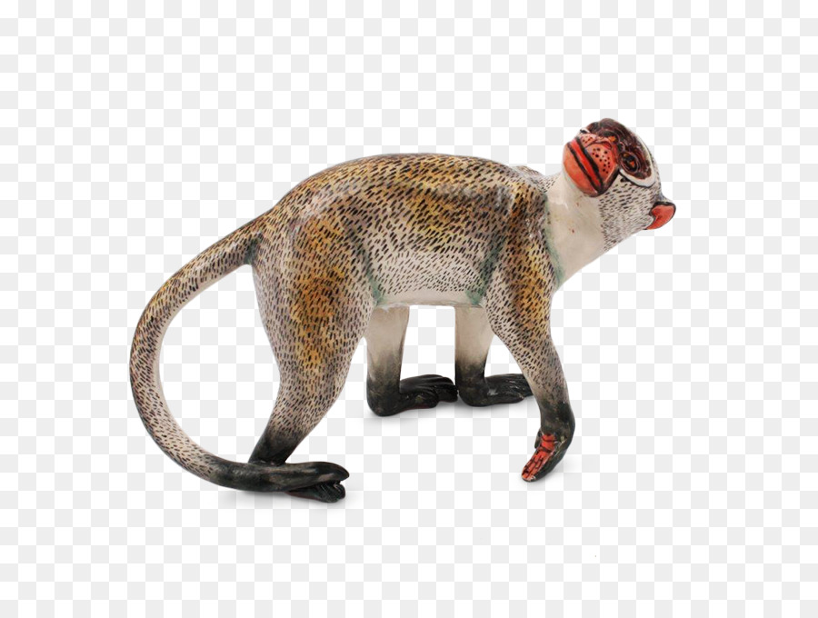 Cercopithecidae Khỉ Đầu Chó Khỉ Động Vật Đuôi - khỉ