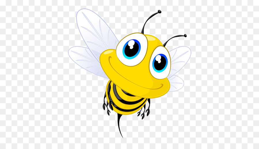 Honig Biene Insekt - Biene
