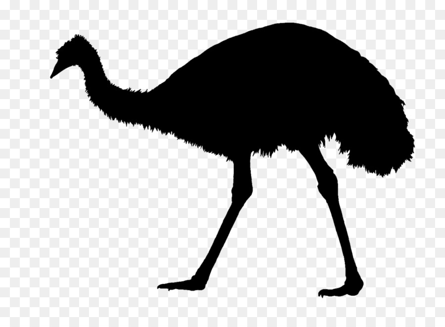 Common ostrich Emu Era Silhouette Bird - silhouette