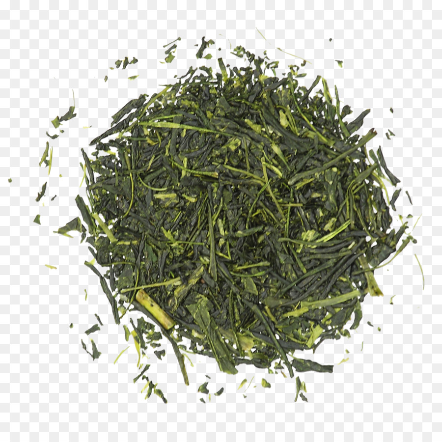 Gyokuro Nilgiri trà ô long Keemun - trà
