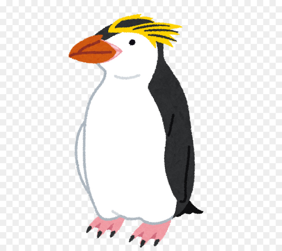 Penguin Cartoon png is about is about Penguin, Adélie Penguin, Gentoo Pengu...