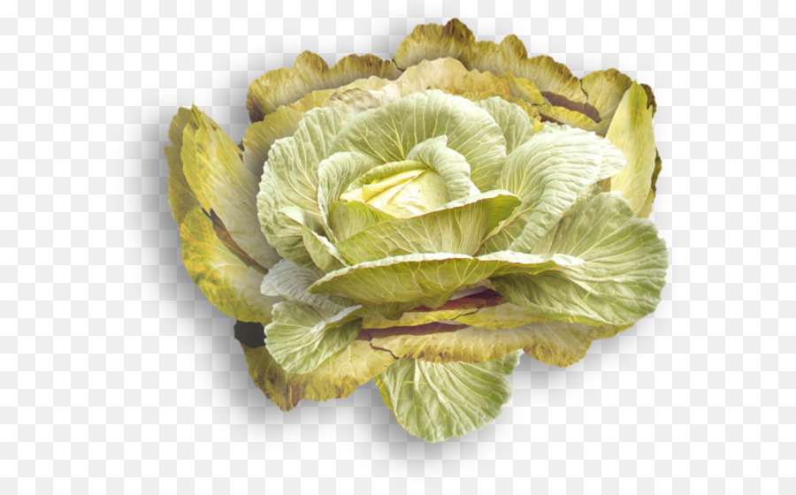 Cabbage, Spring greens Blut, Schweiß & Tränen Römersalat - Kohl