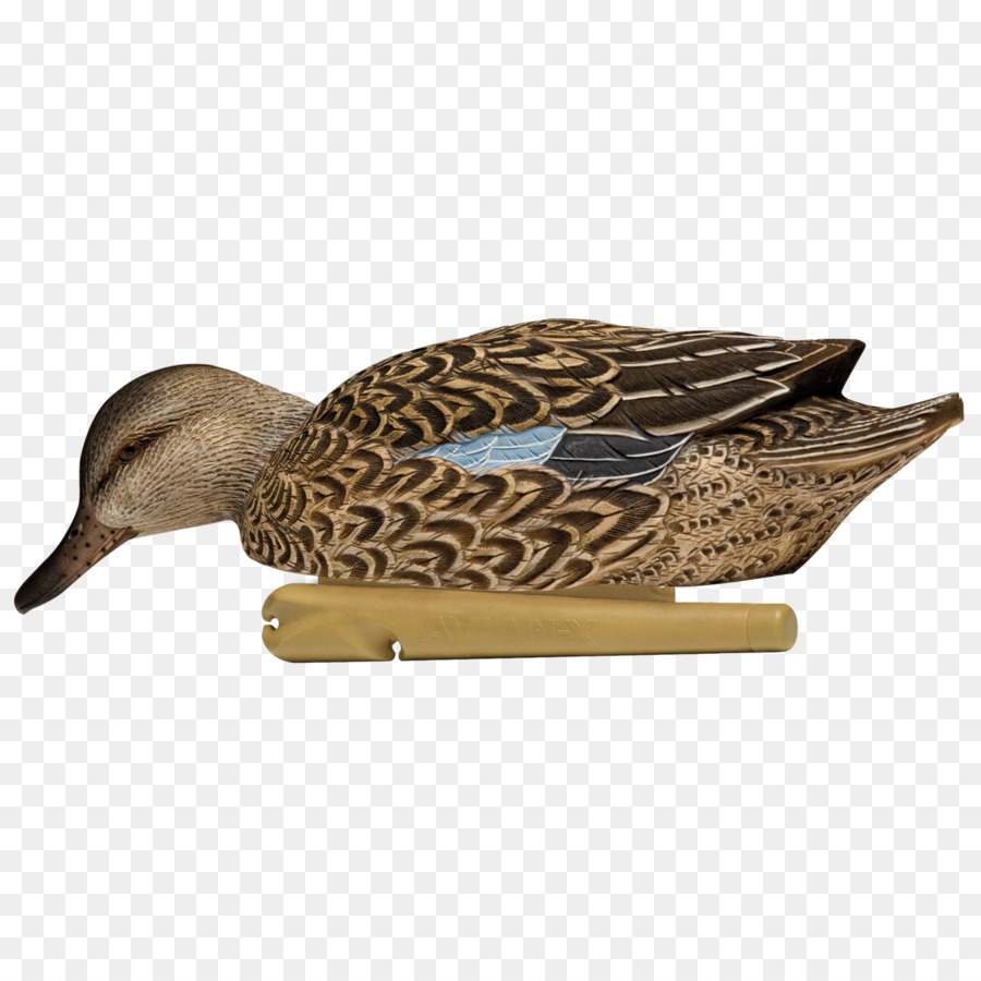 Mallard Duck decoy Eurasische Krickente Green-winged teal - Ente