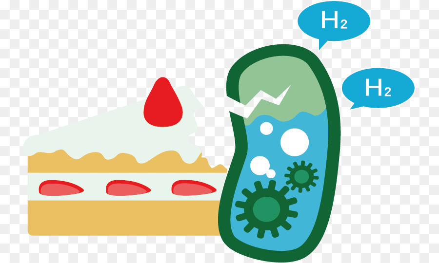 International genetically Engineered Machine E. coli Plasmide la produzione di Idrogeno - Cellulare microbiologia
