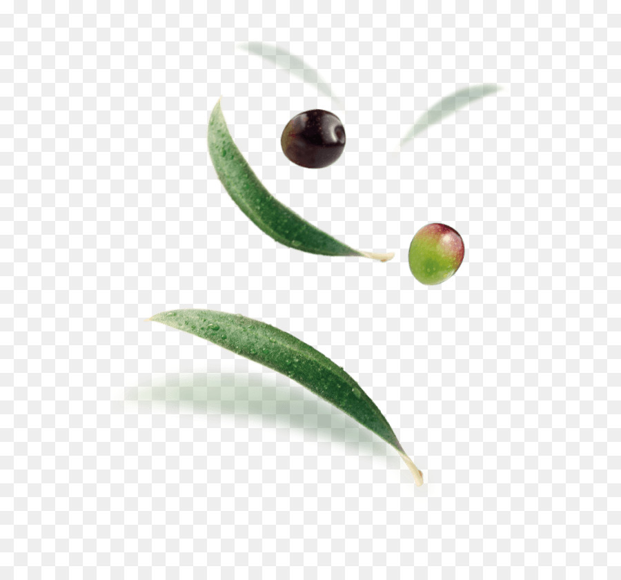 Madama Oliva Tapenade di Olive S. r.l. Lupin Bean Snack - oliva
