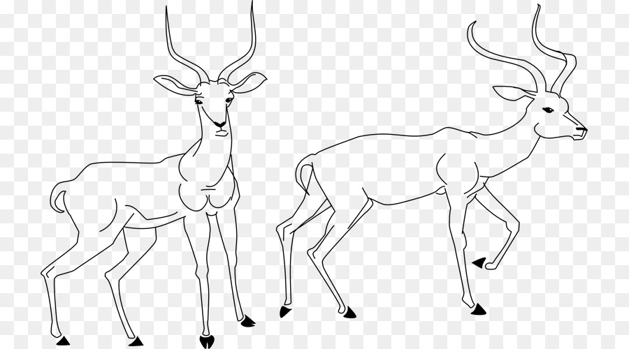 Rentier Antilope Zeichnen Linie Kunst-clipart - Rentier