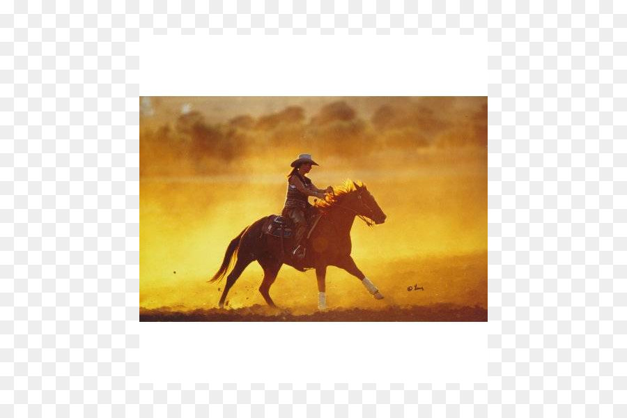 Mustang Cowboy Stallion kiềm chế Tây, - mustang