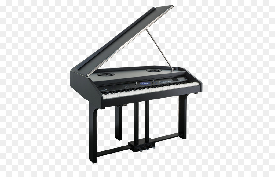 Digital piano Elettrico, pianoforte, tastiera Elettronica, pianoforte pianet affiancati - pianoforte