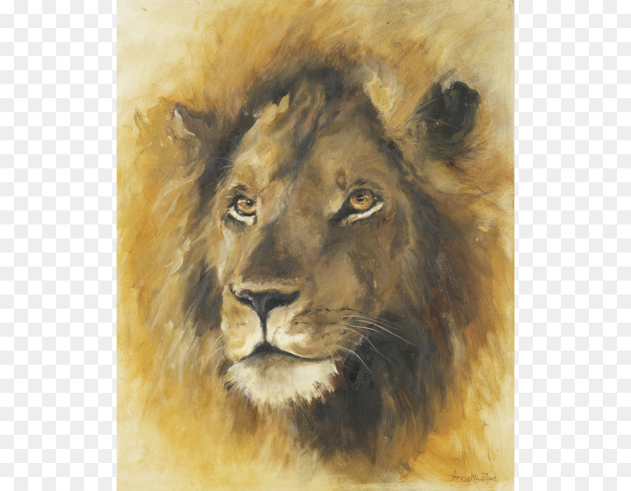 East African lion-Whisker-Aquarell Tierwelt Fauna - Farbe
