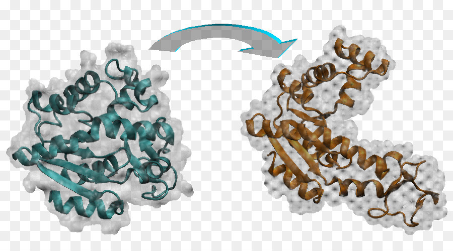 Dinamica molecolare Bioinformatica del Genoma RNA-targeting molecole di piccole dimensioni - cereali