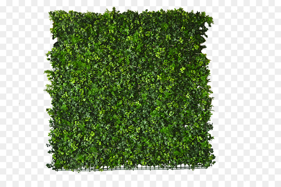 Follaje Rừng Nhiệt Đới Ivy Vườn Mét - giả cỏ