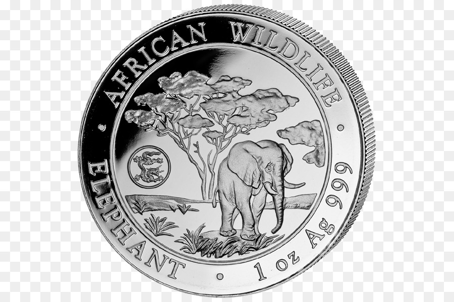 Afrikanischer Elefant Silber Münze Elephantidae - Münze
