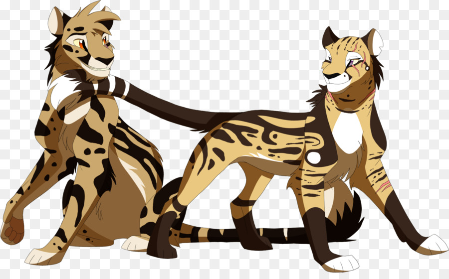 Gatto Tigre Cougar Cane Canidae - gatto
