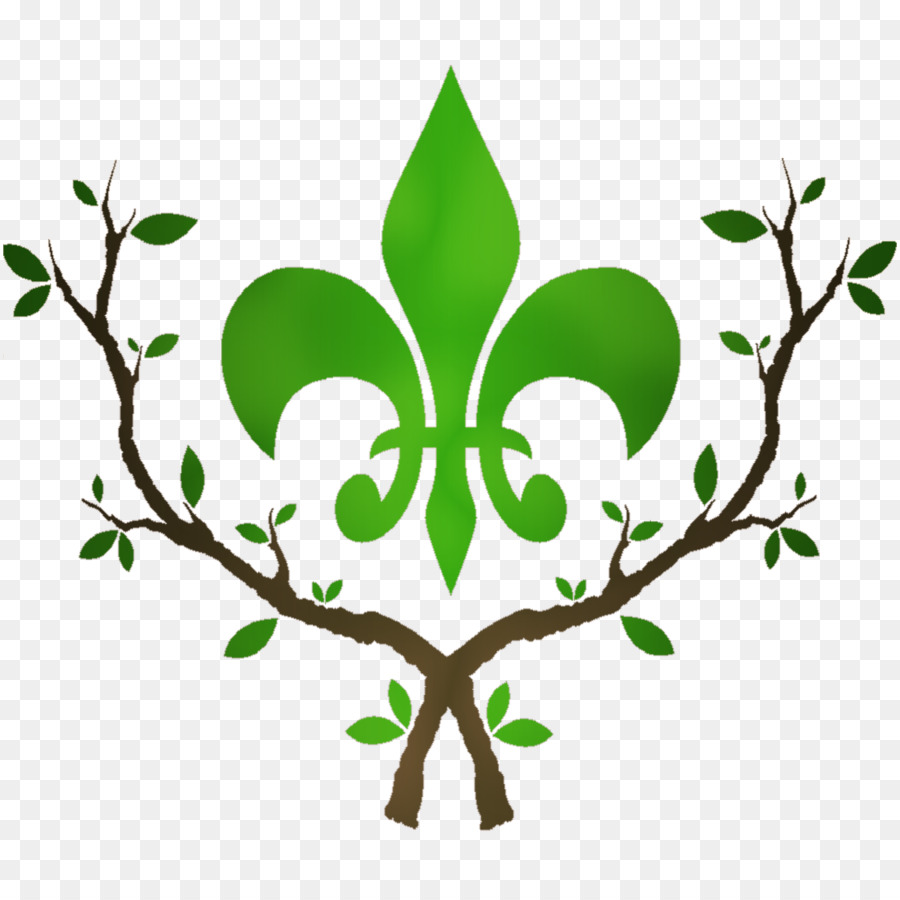 New Orleans Saints Houmas House Plantation and Gardens Matrimonio di Fleur-de-lis - matrimonio