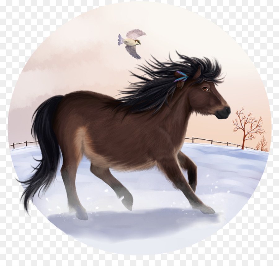 Mustang Stallone Mare Pony branco di animali - buongiorno
