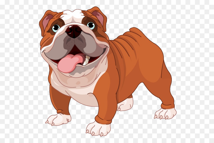 Bulldog francese Cucciolo Clip art - cucciolo