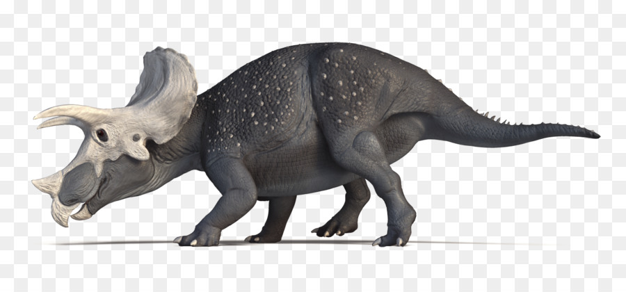Dinosauro Tyrannosaurus Pentaceratops Einiosaurus Tre-Corno: L'Avventura di Triceratops - Dinosauro
