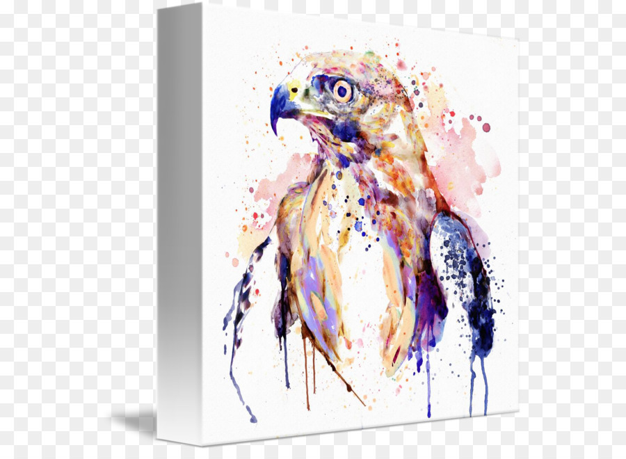 Hawk-Aquarell-Vogel-Kunst - Greifvögel