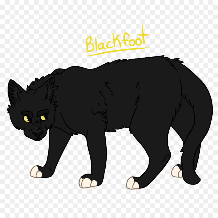 Schwarze Katze Manx-Katze Schnurrhaare Inländischen Kurzhaar-Katze In der Wildnis - Buchen