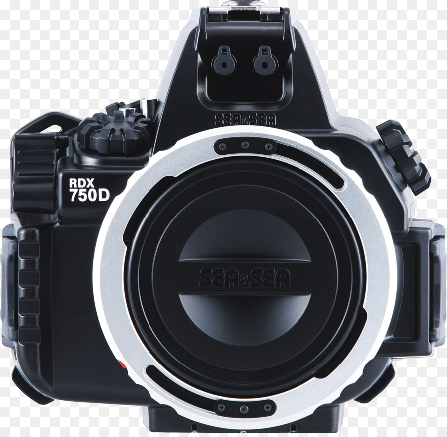 Canon EOS 750D, Canon EOS 800D Digitale SLR-Unterwasserfotografie - Meer