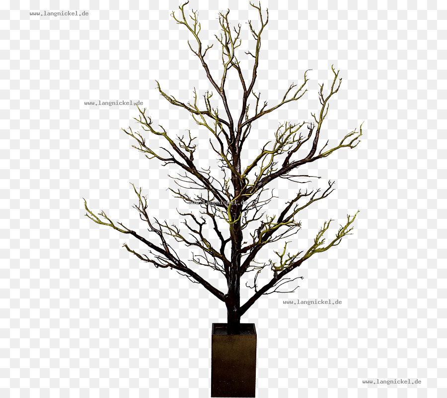 Zweig, Baum, Bonsai Zweig Holz - Baum