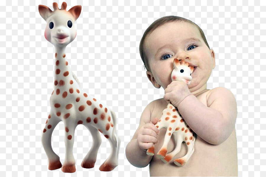 Sophie la Giraffa Massaggiagengive Bambino - Sandra Bullock