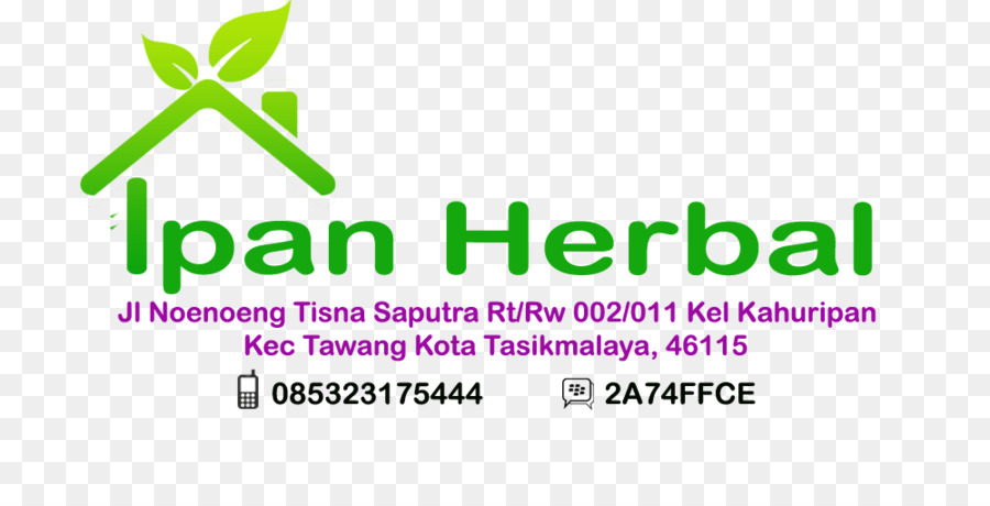 Il Logo Di Java Ovest Marca Carattere Verde - a base di erbe logo