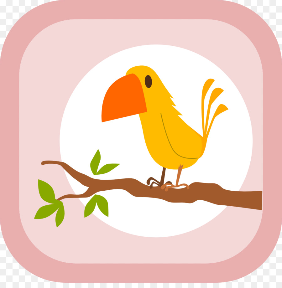 Uccello Gufo Tucano Saluto & Carte di Nota fenicottero - uccello giallo