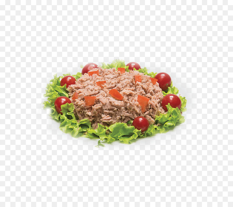 Vegetarische Küche Essen Salat Gemüse - Thunfisch