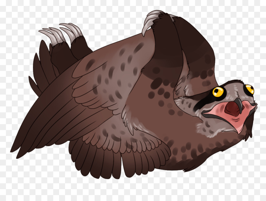 Avvoltoio Uccello Grifone Potoo - uccello