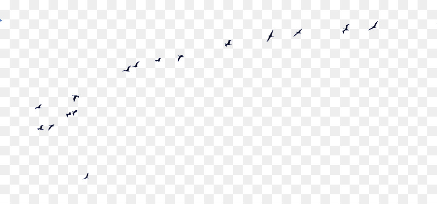 Bird migration-Punkt, Winkel, Schriftart - Vogel