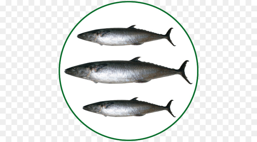 Sardine Pacific saury Lachs-Makrele-Fisch-Produkte - Fisch