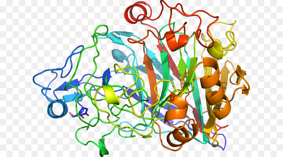 Biologia molecolare della Cellula teoria Cellulare delle Cellule eucariote Enzima - altri