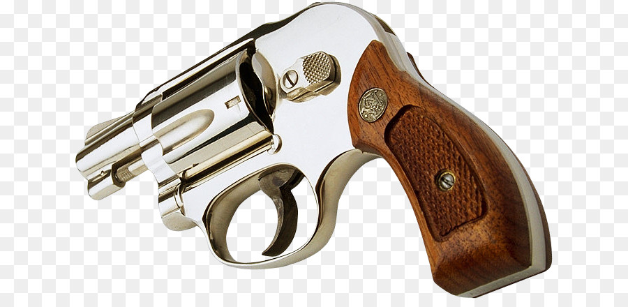 Revolver di Arma da fuoco, Pistola canna - altri