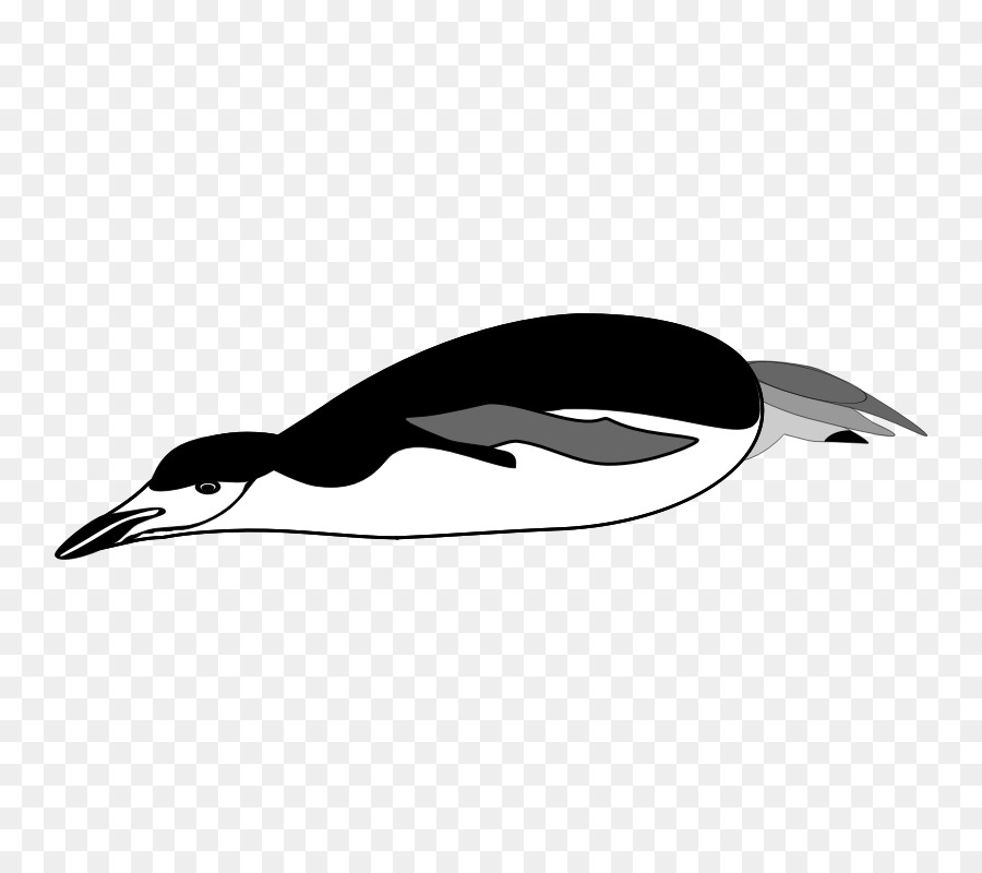 Chim cánh cụt Vẽ Máy tính Biểu tượng Clip nghệ thuật - Chim cánh cụt