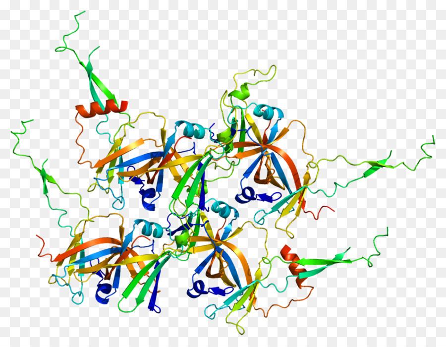 GTF2F1 fattore di Trascrizione II F fattore di Trascrizione II B del Gene POLR2A - altri